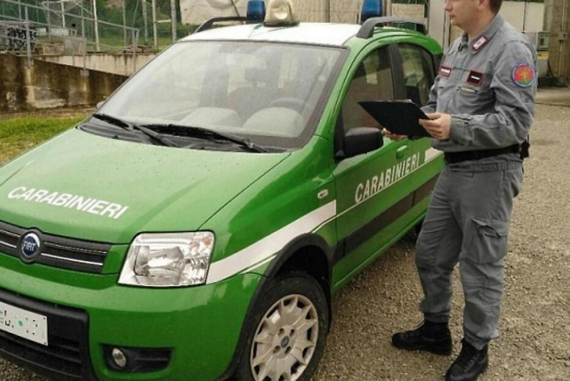 Carabinieri forestali