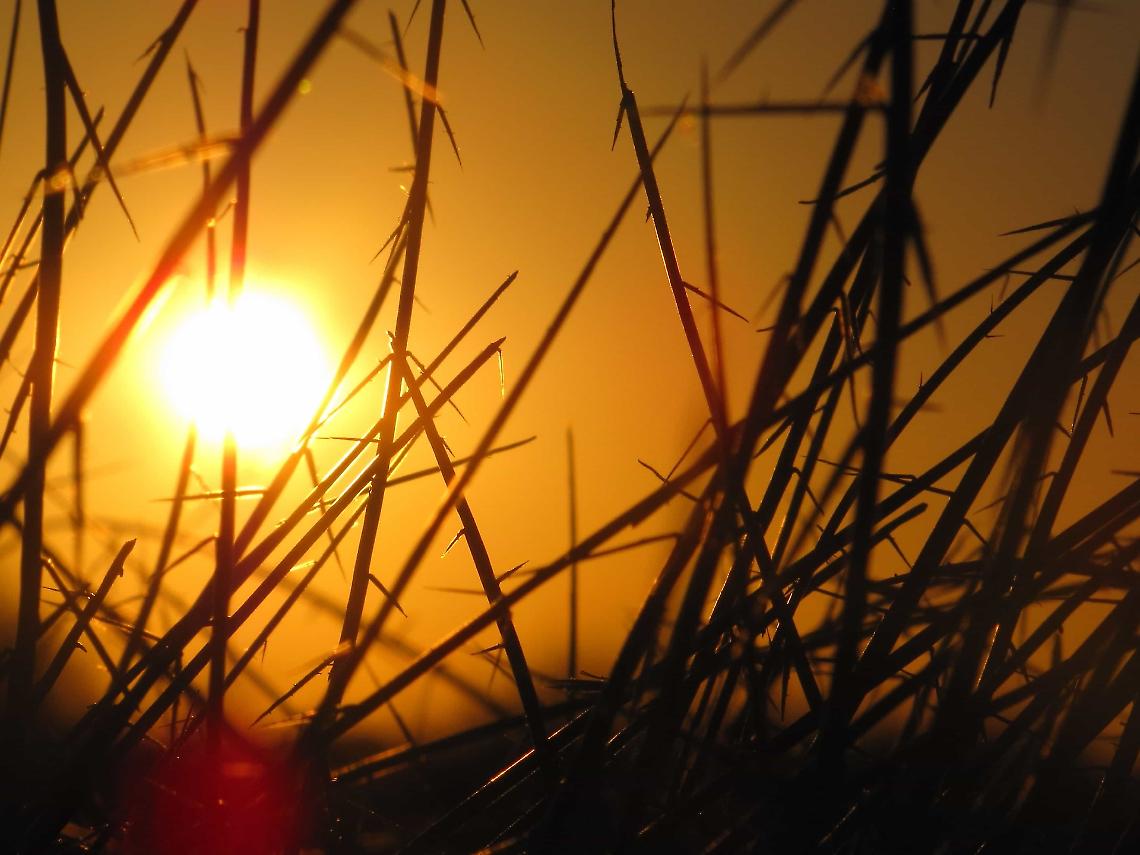 Settembre si veste d’estate: sole e caldo fino a martedì, poi torna la pioggia