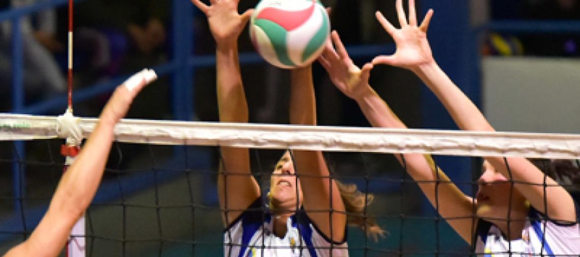 Volley