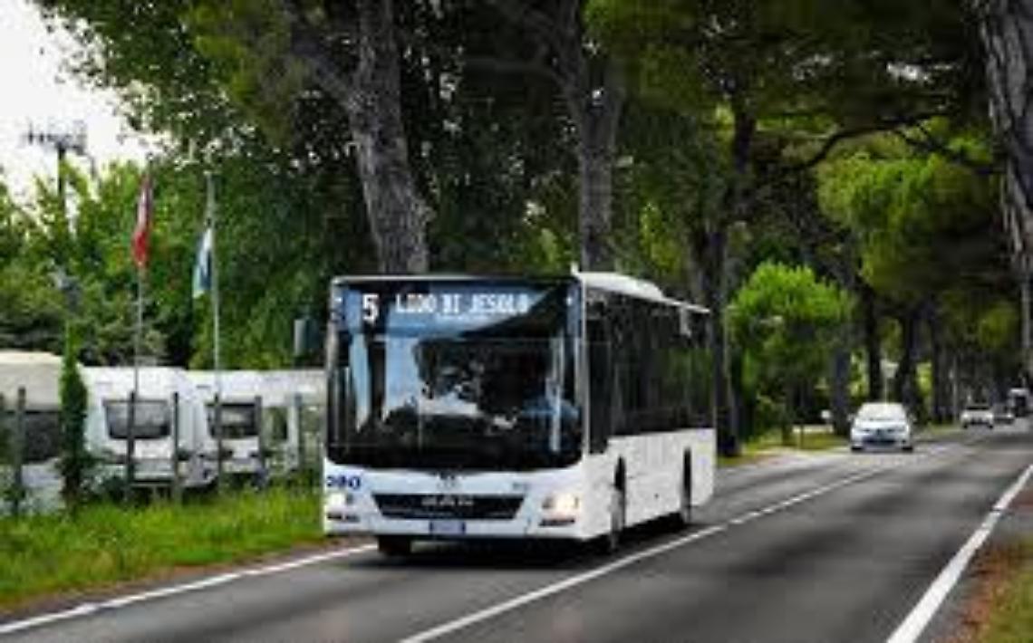 Commercio abusivo e spaccio a Jesolo: sequestrate borse contraffatte e droga sui bus