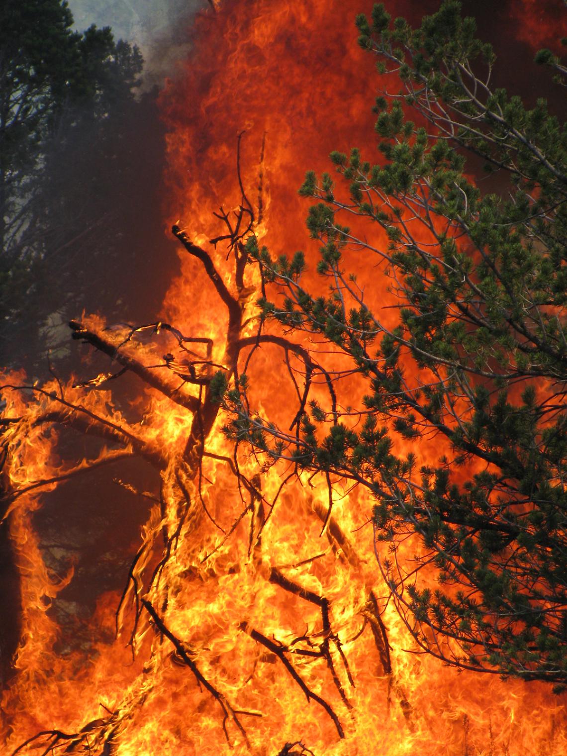 Incendi