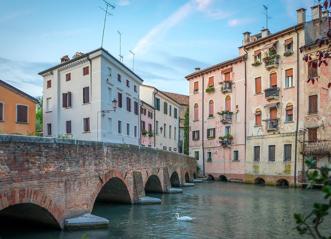 Weekend di eventi imperdibili a Treviso e provincia: scopri cosa fare il 24 e 25 agosto 2024
