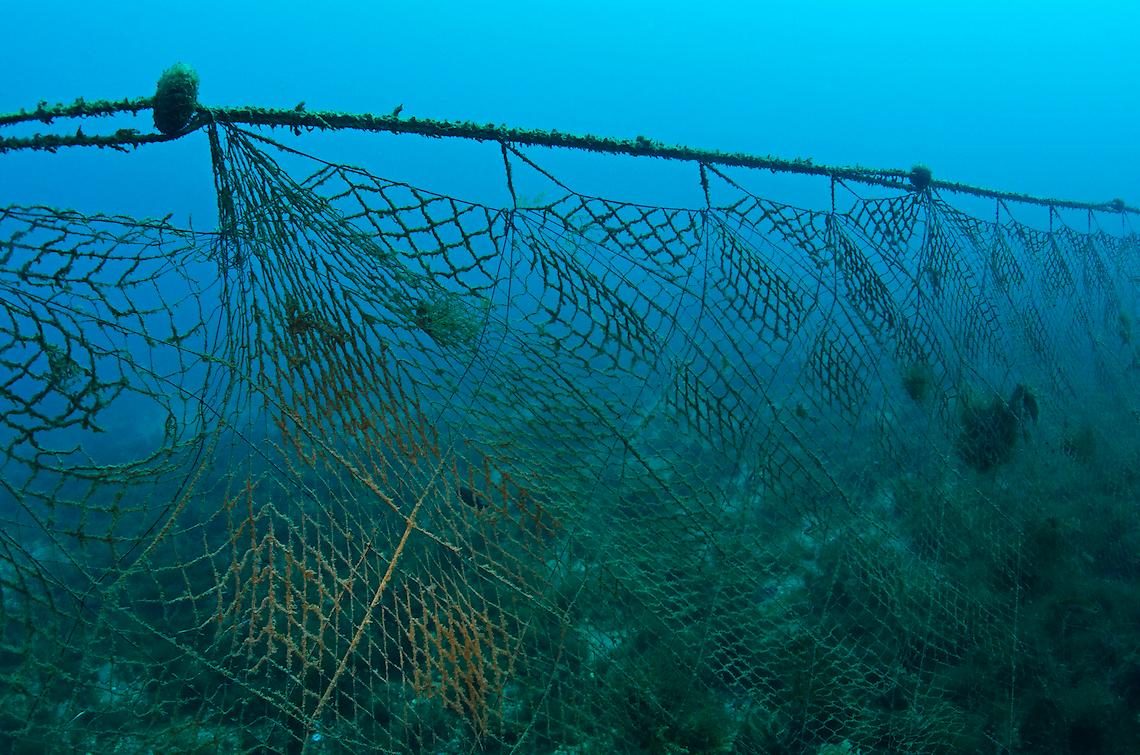 Tegnùe di Chioggia: un'operazione di pulizia per la tutela dei fondali marini