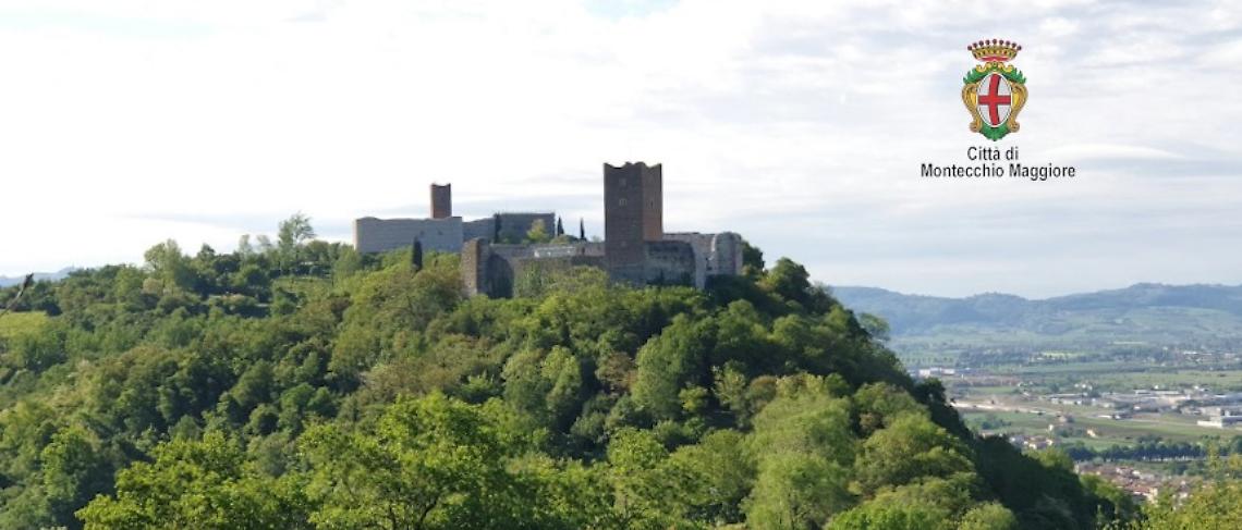 Cinque serate tra sapori, musica e tradizione: torna la Festa di San Paolo ad Alte Ceccato
