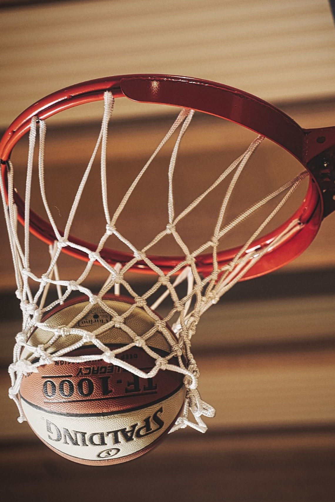 Una vita sul parquet: la Pallacanestro Vittorio Veneto saluta nove giovani cresciuti in casa