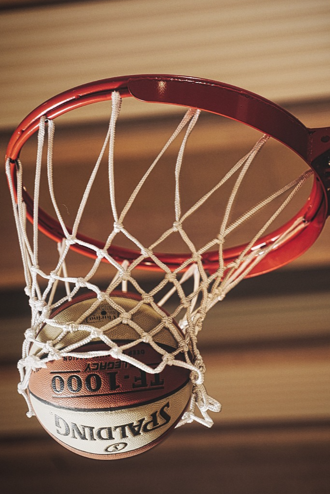 Treviso Basket pronta per la stagione: sei amichevoli in programma per la preseason