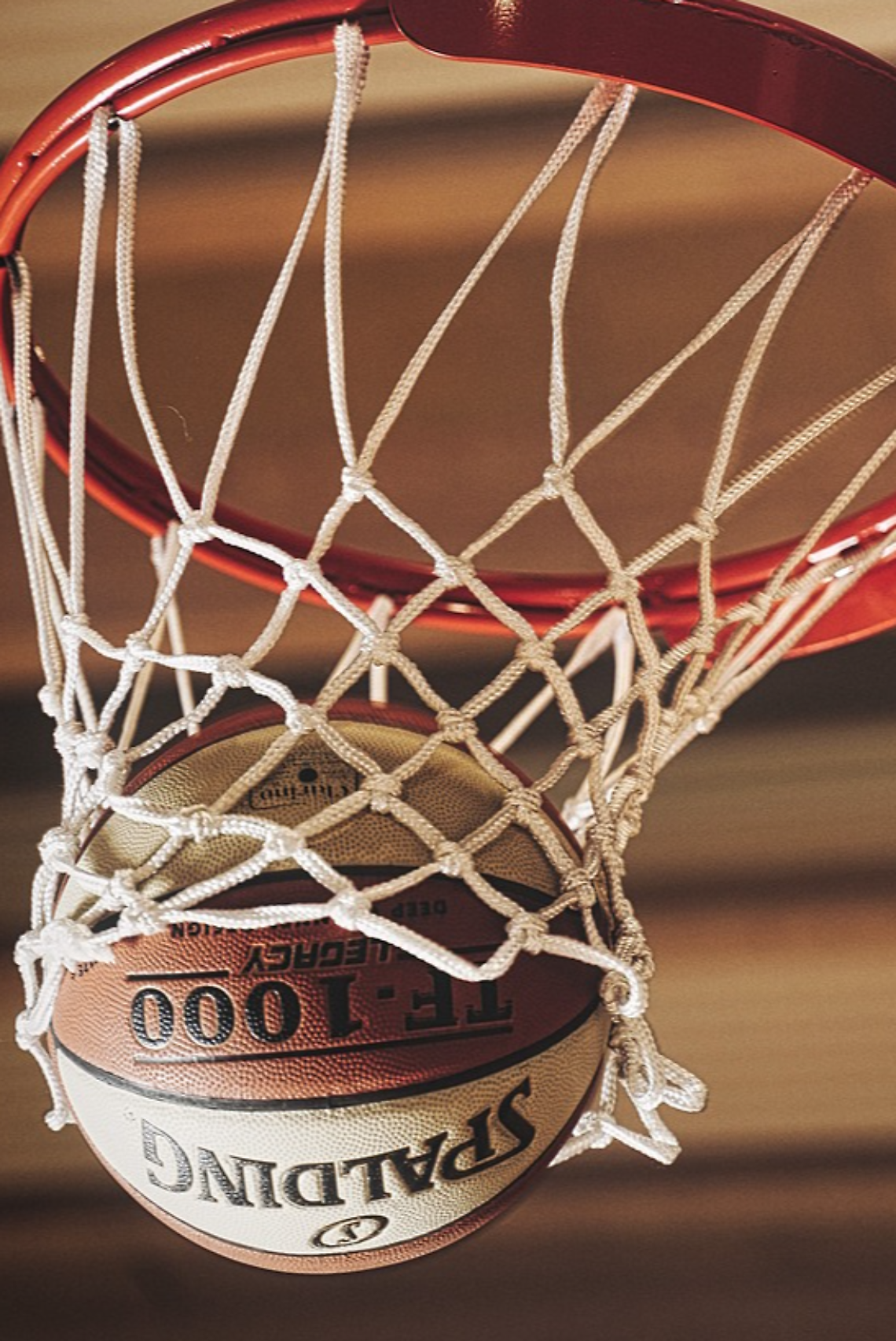 Treviso Basket pronta per la stagione: sei amichevoli in programma per la preseason