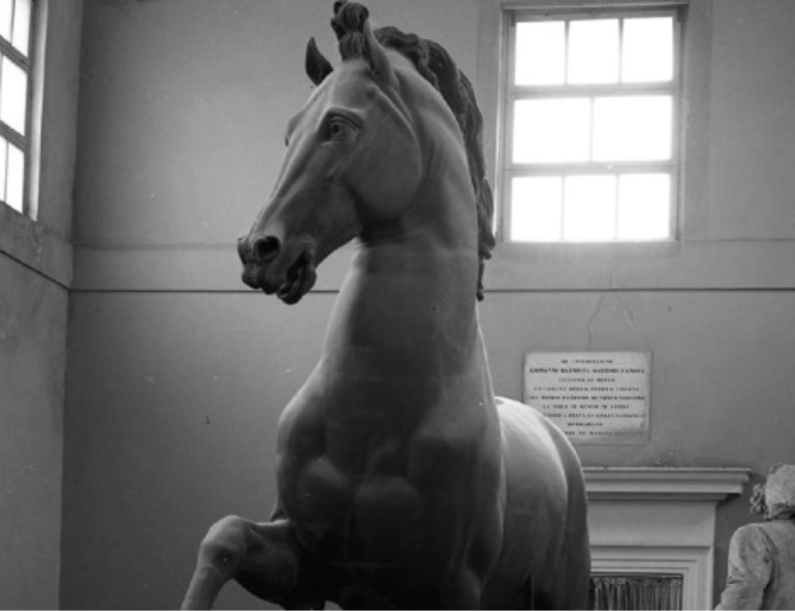CAVALLO CANOVA 