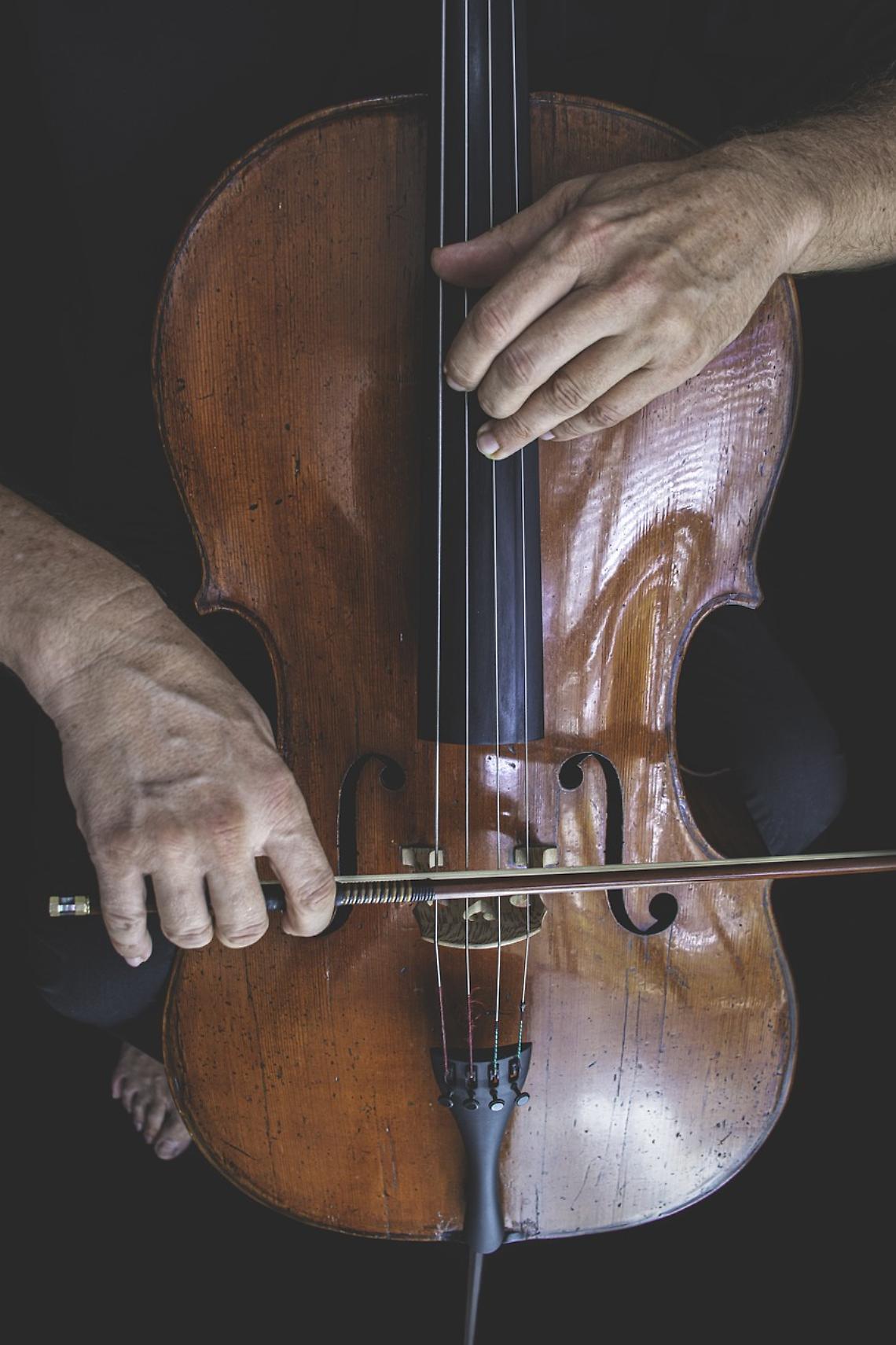 violino