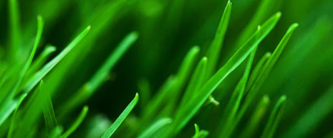 Bassano, riaperto al pubblico il Giardino Parolini dopo l’intervento di bonifica