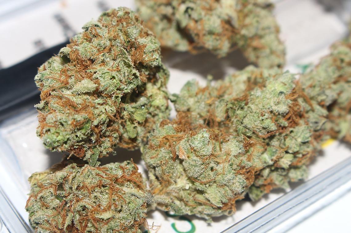 Arrestato pusher a Zero Branco: spacciava hashish e marijuana ai minorenni