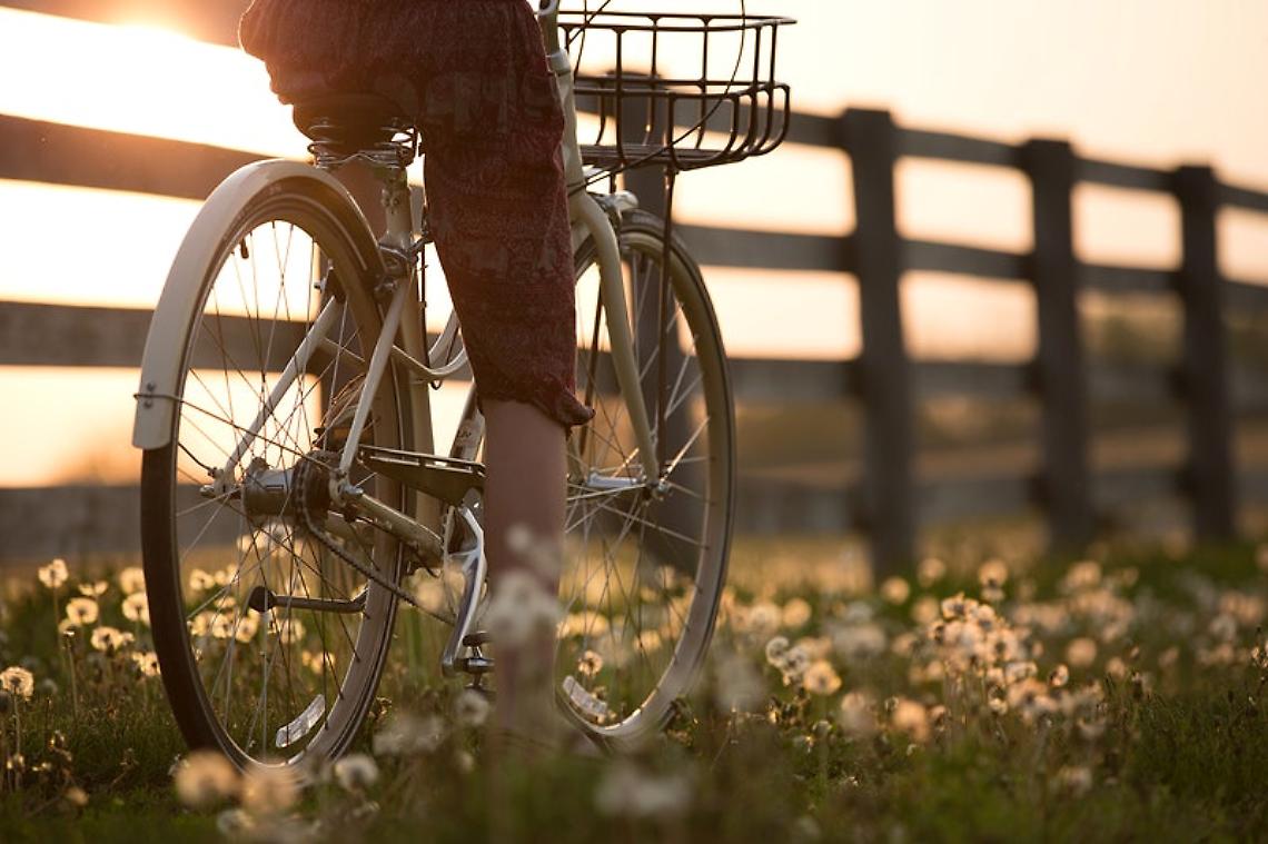Scoprire il mondo su due ruote: l'evento che cambia la prospettiva del viaggio in bicicletta