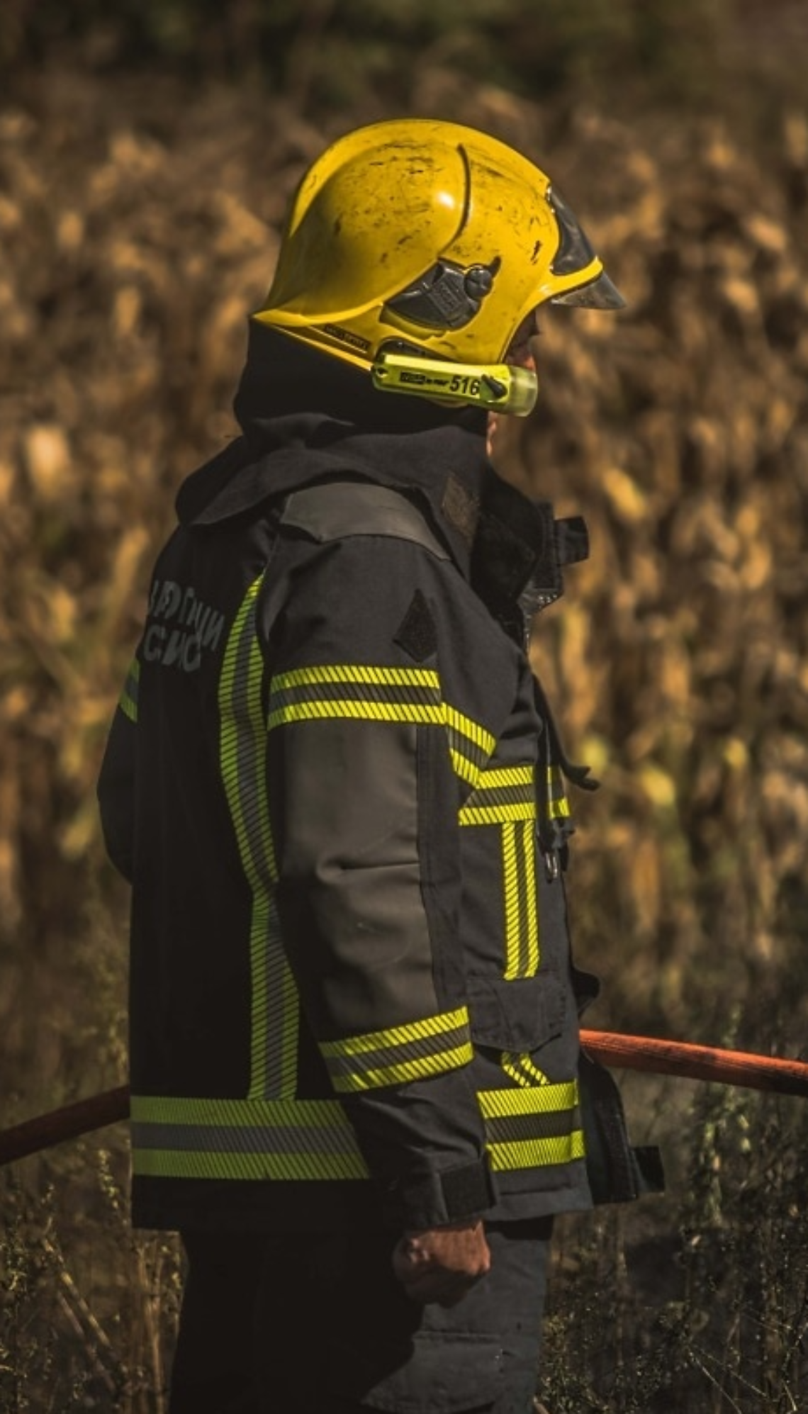 Conegliano, 650 bambini incantati dai Vigili del Fuoco: il cane “J” si cala dal cielo in teleferica