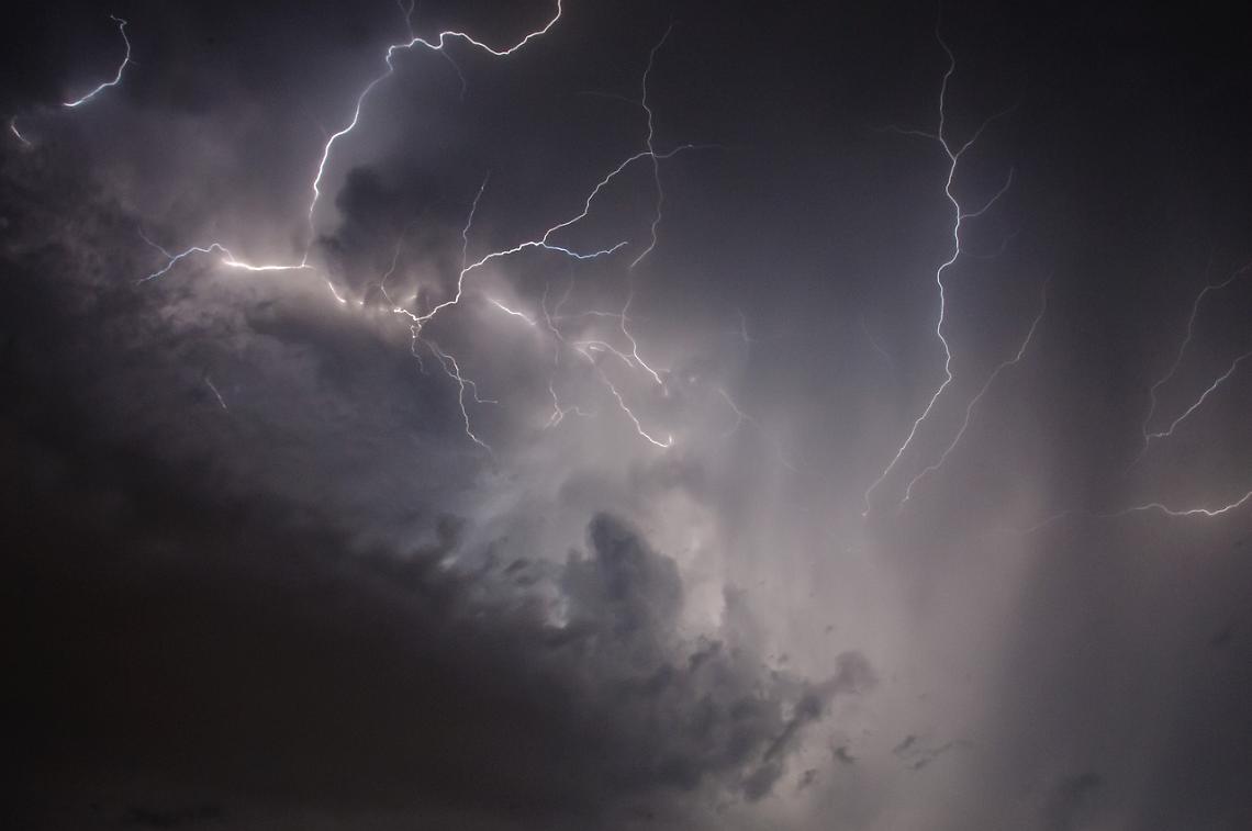 Maltempo flagella Est e Bassa Veronese: alberi caduti, tetti scoperchiati e blackout
