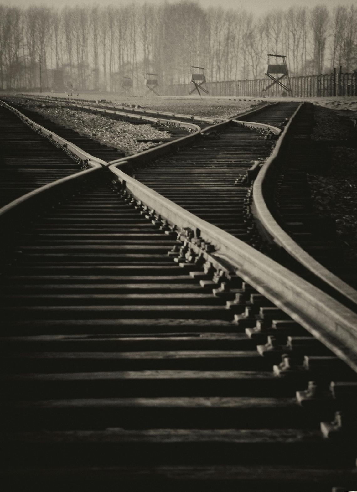 Treno