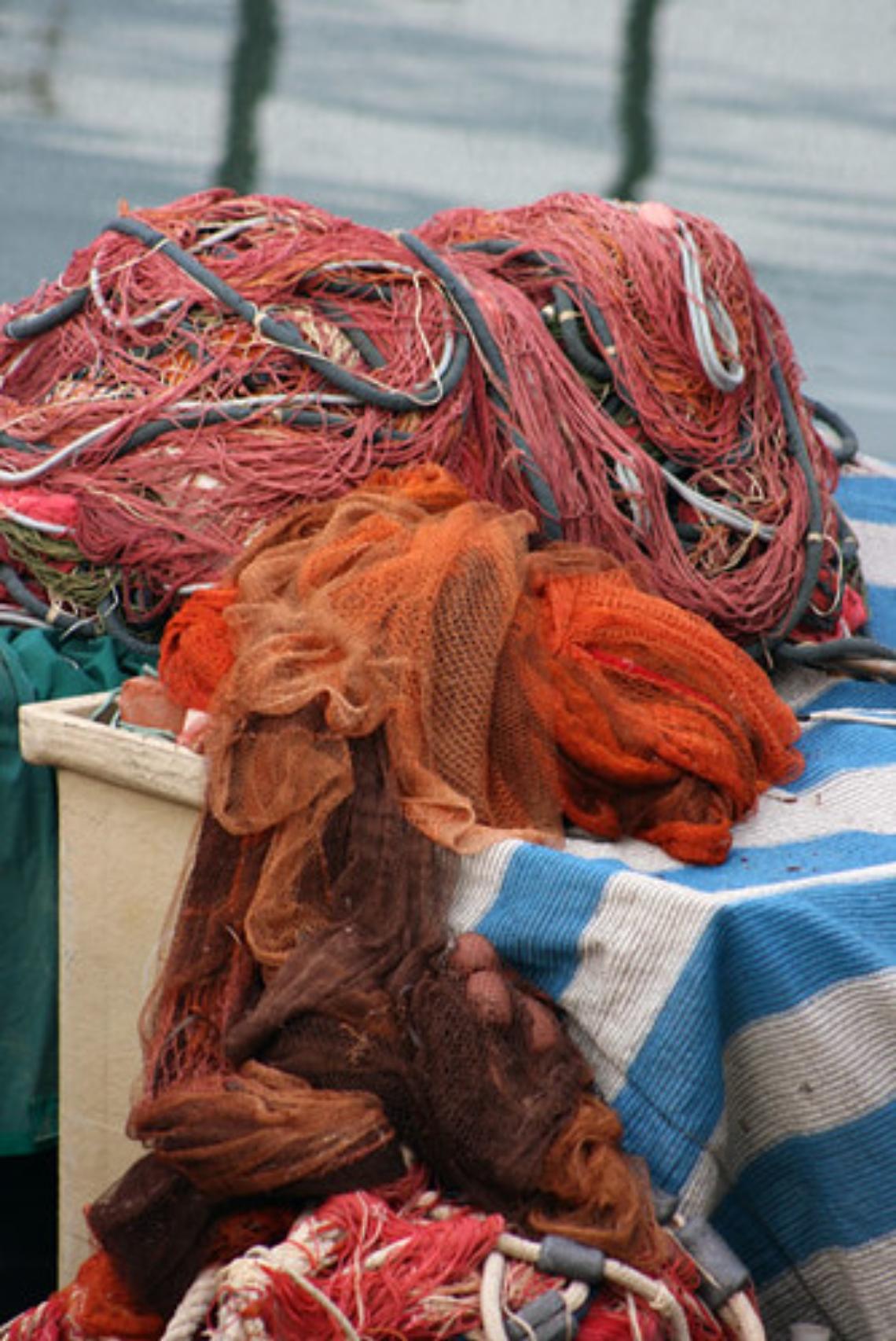 Scomparsi due cacciatori di granchi a Rosolina Mare: ricerche in corso senza sosta