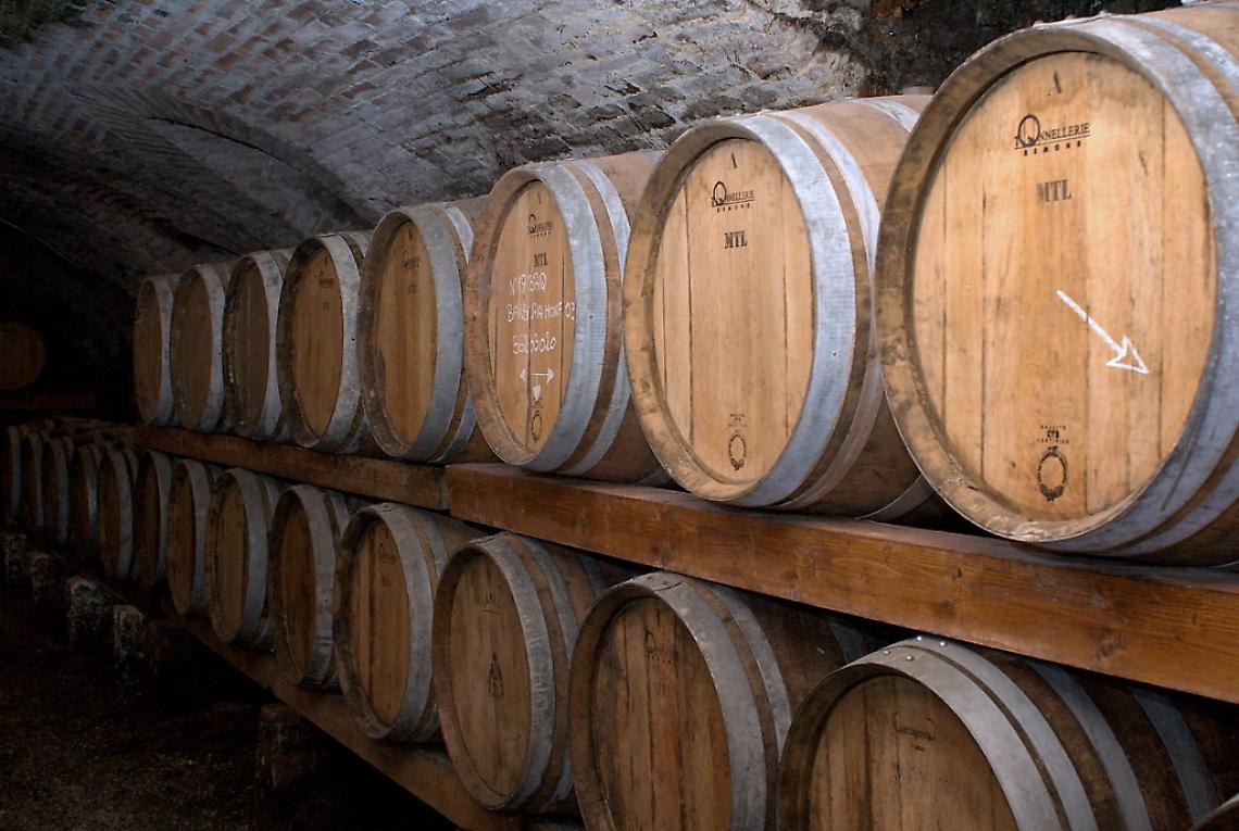 Cantine Aperte a San Martino: Un Viaggio tra Vini, Storia e Paesaggi della Valpolicella