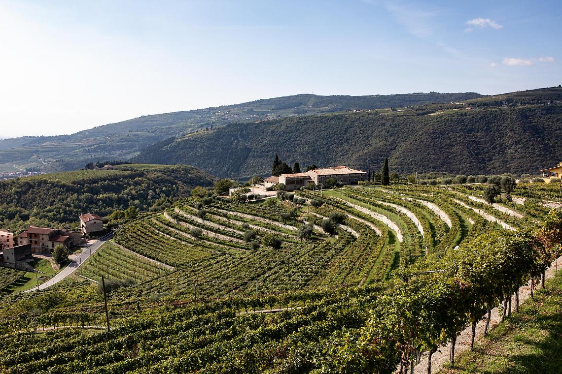 Alla Scoperta delle Meraviglie di Roverè Veronese: Un'Escursione tra Natura e Architettura