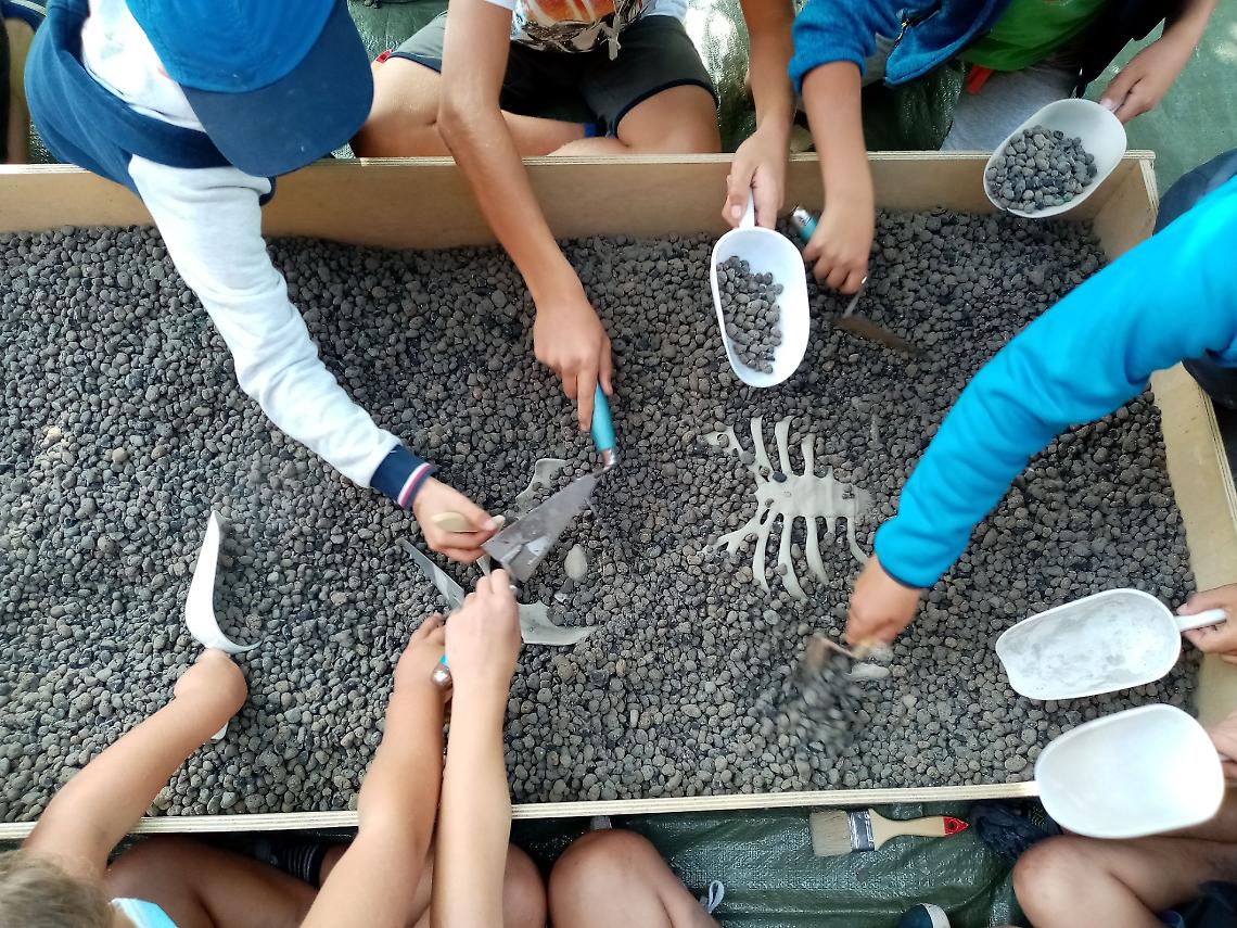 Magia e storia tra le palafitte: un weekend incantato al Parco didattico del Livelet