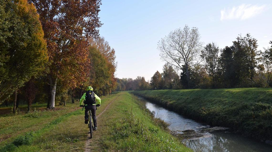 Pista ciclabile immersa nel verde: un passo verso un futuro sostenibile