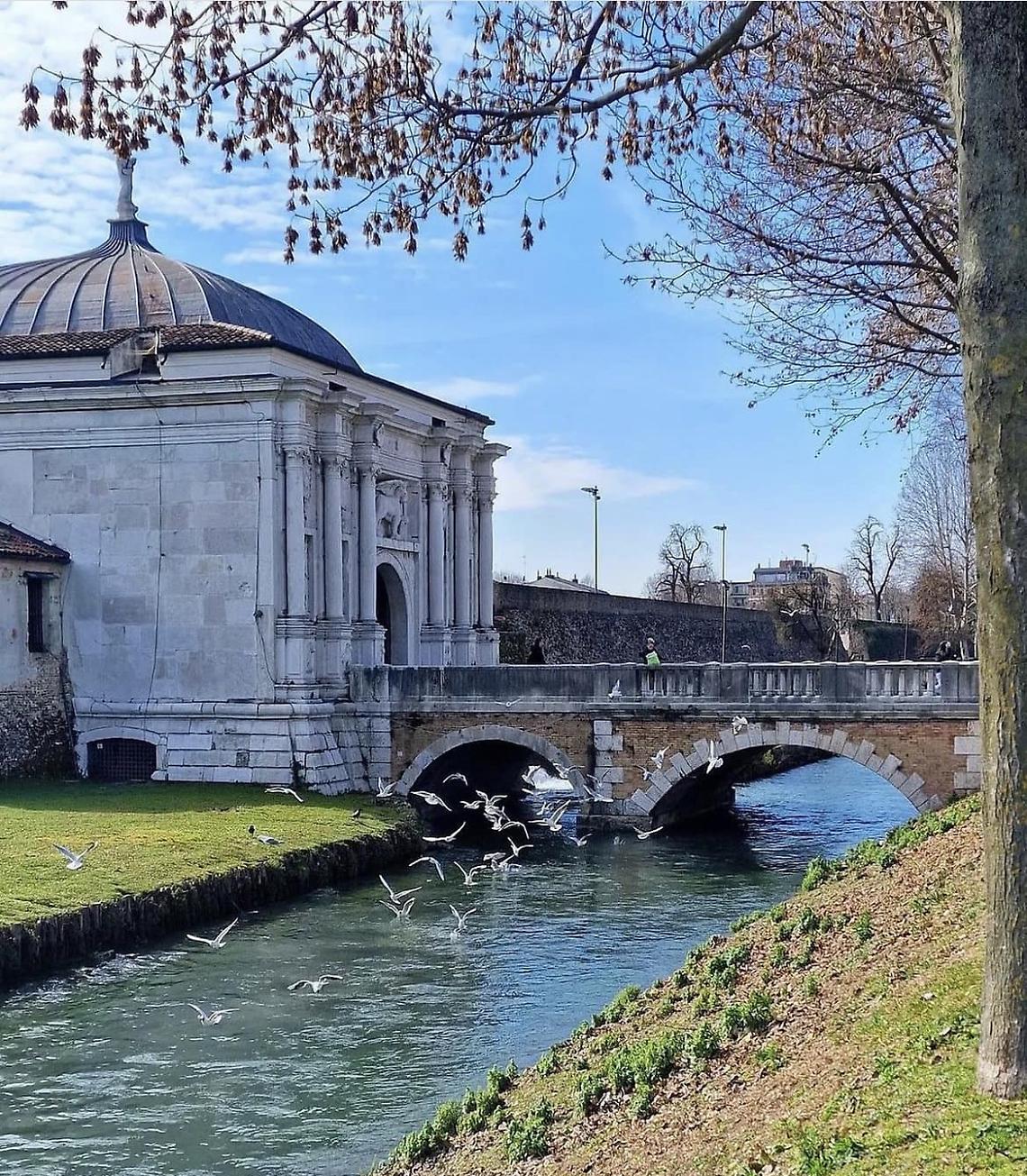 Treviso