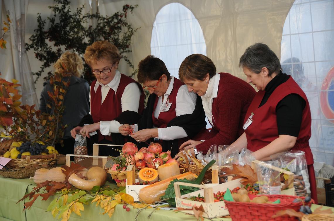 Delizie d’autunno: un festival di sapori e tradizioni nel Trevigiano