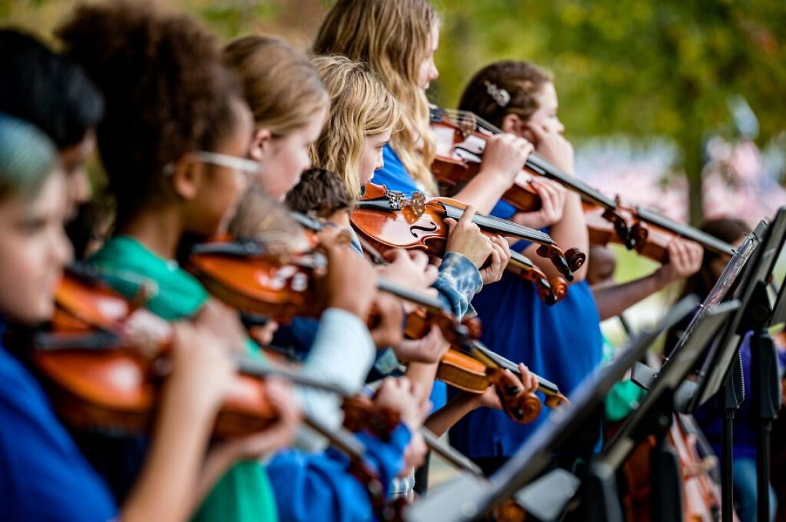 Nasce l'Orchestra Giovanile Studentesca di Rovigo: Un Nuovo Capitolo per la Musica Giovane
