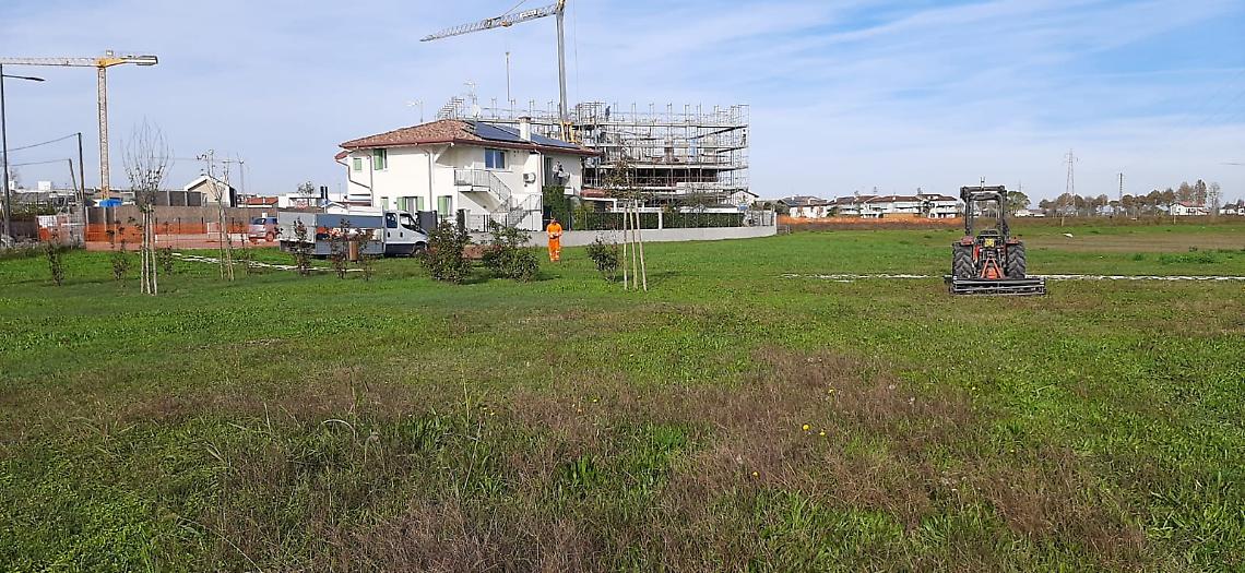 Nuovo bosco urbano a Jesolo: primi passi verso la piantumazione