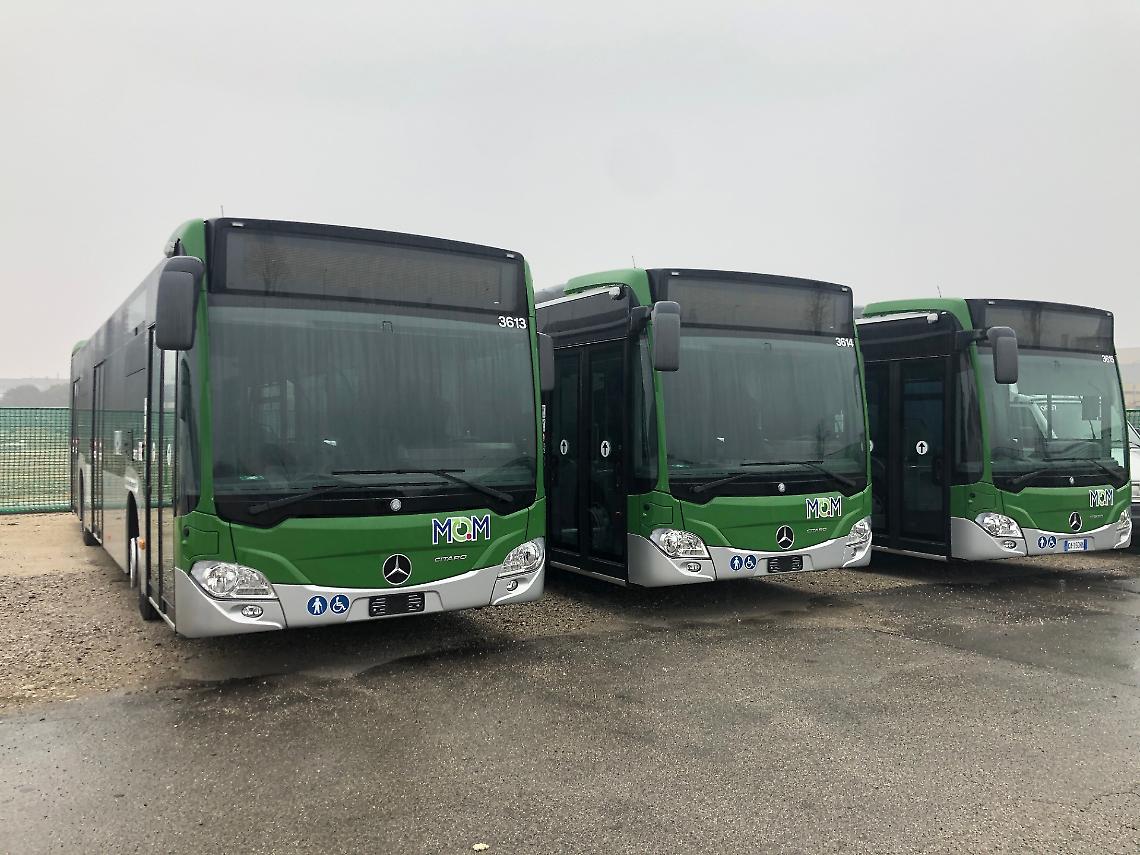 Sciopero dei Trasporti a Treviso: Gli Autisti Chiedono Cambiamenti Urgenti