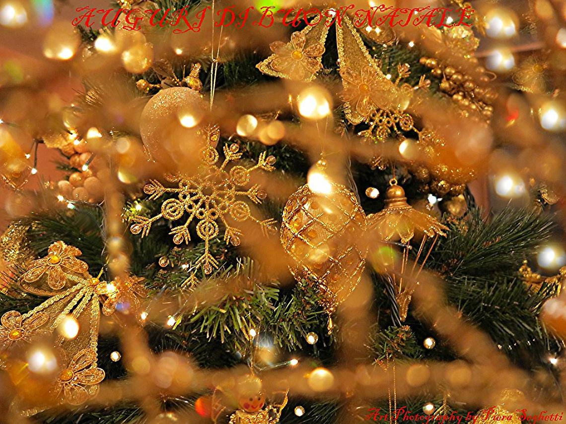 Natale a Rovigo: Solidarietà e Colori per un Natale Unico