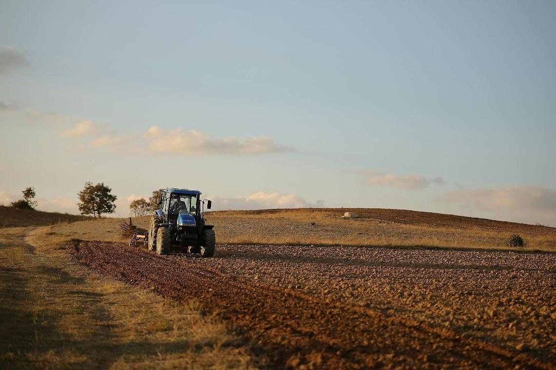Incidente sul Lavoro a Piombino Dese: Operaio 41enne Ferito in Azienda Agricola
