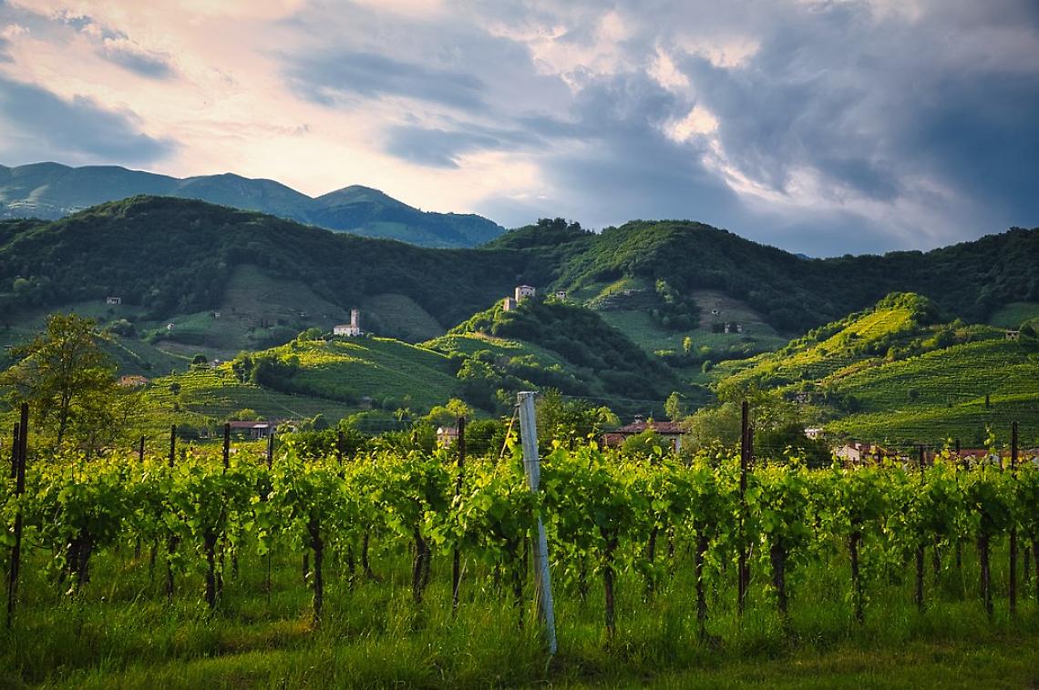 Razzolini (FdI): “La Marca Trevigiana e le colline di Valdobbiadene al centro del turismo italiano”