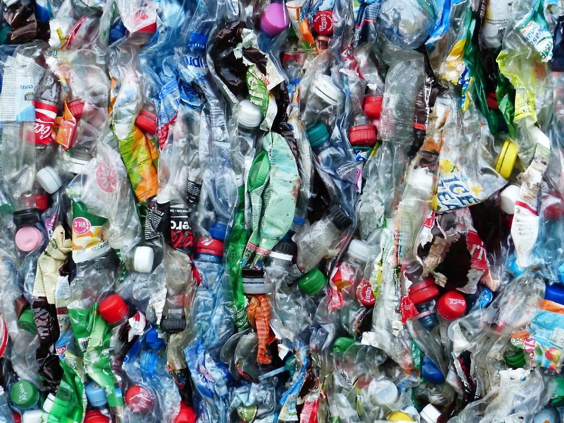 Plastic Free torna sul Po: volontari in campo per ripulire gli argini