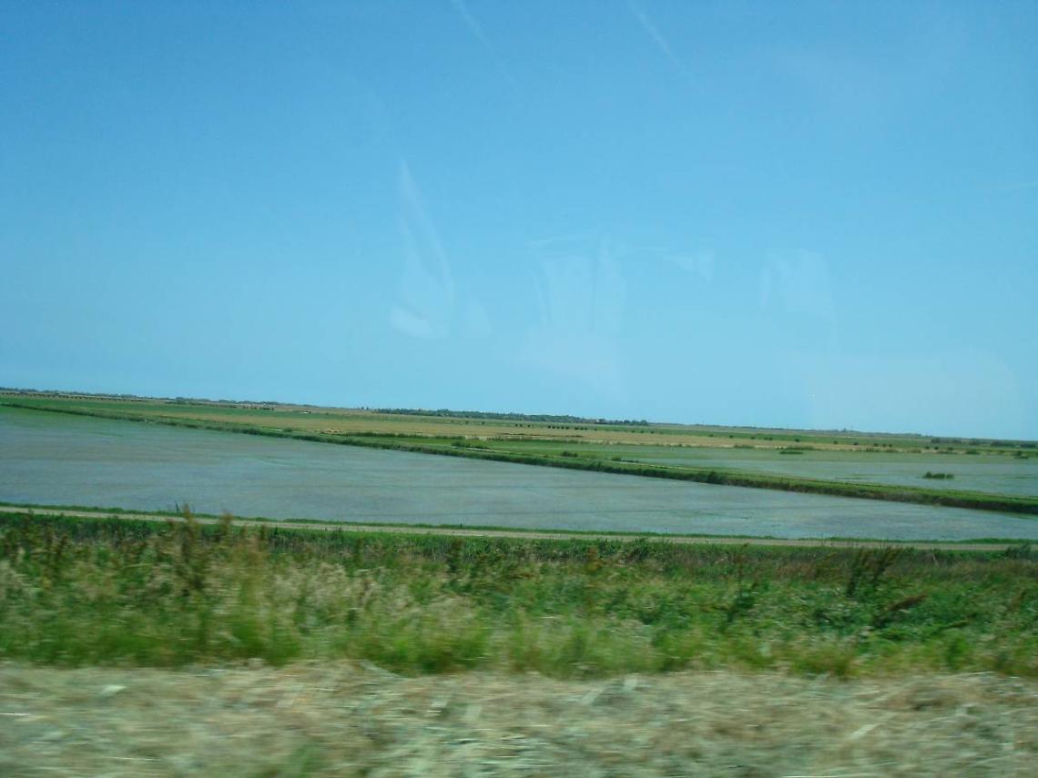 Pulizia ambientale a Scanno Bastimento: Plastic Free in azione nel Delta del Po