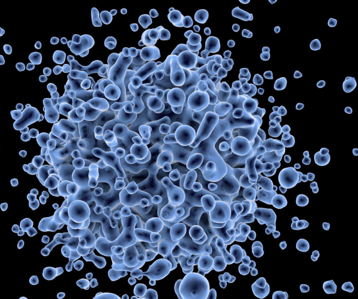 Tezze di Piave: &ldquo;Gli Sconcertati&rdquo; in concerto per la donazione di cellule staminali