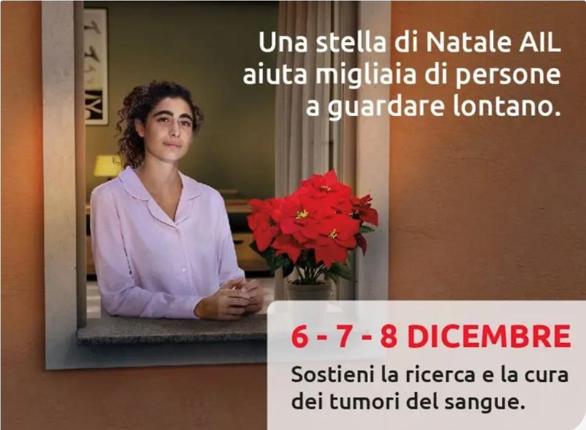 Stelle di Natale AIL