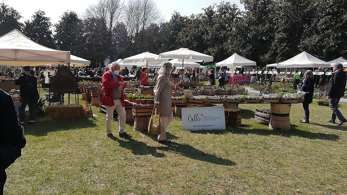 Mercatino dell'Antiquariato a Piazzola sul Brenta: Un Viaggio nel Tempo tra Storia e Arte
