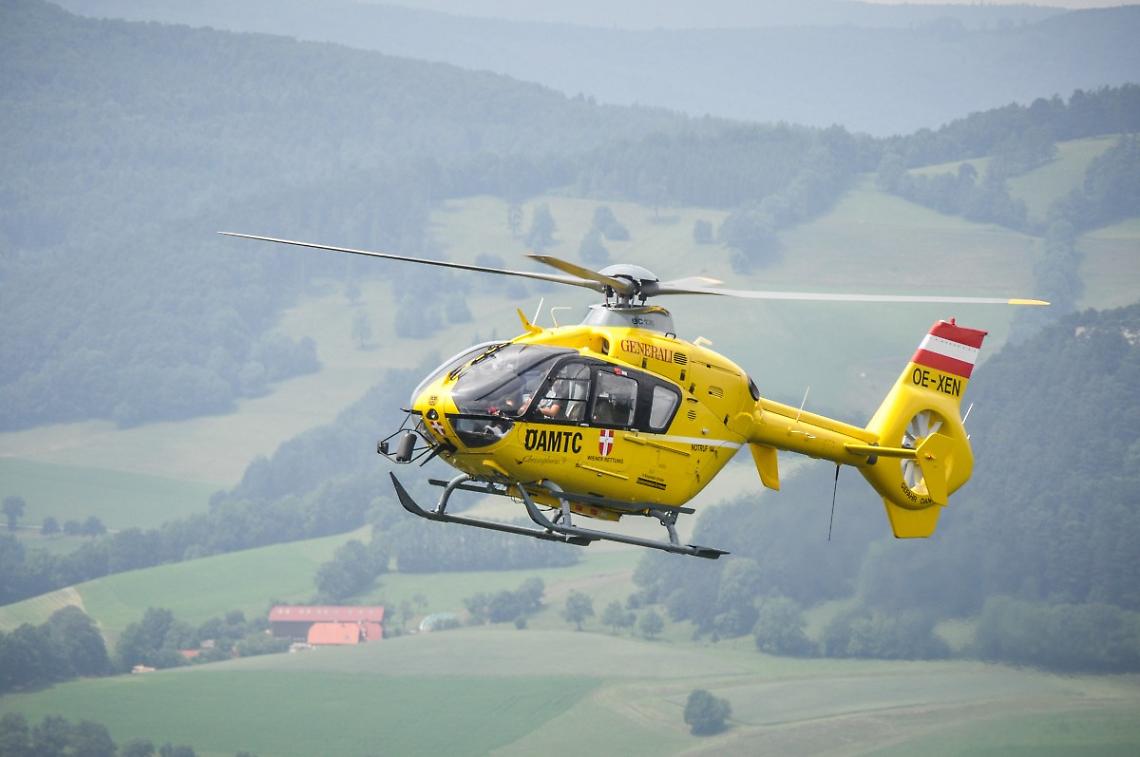 Punto da calabroni durante una battuta di caccia: soccorso in montagna nel Bellunese