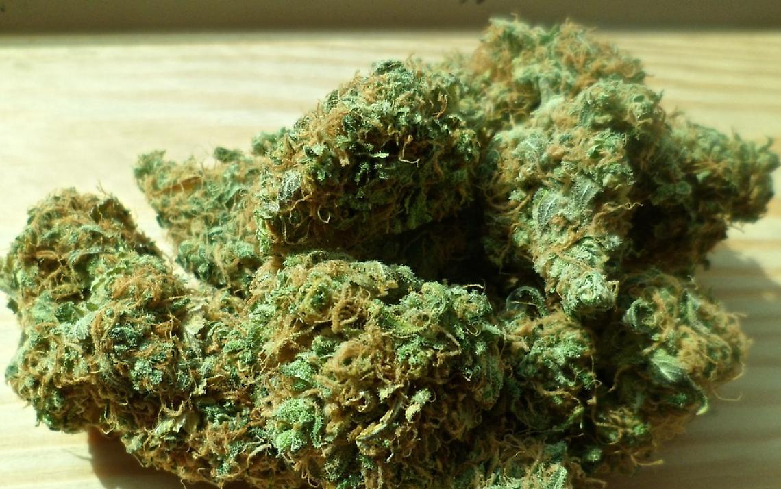 Spaccio di droga a Padova: arresti e misure di espulsione per due irregolari