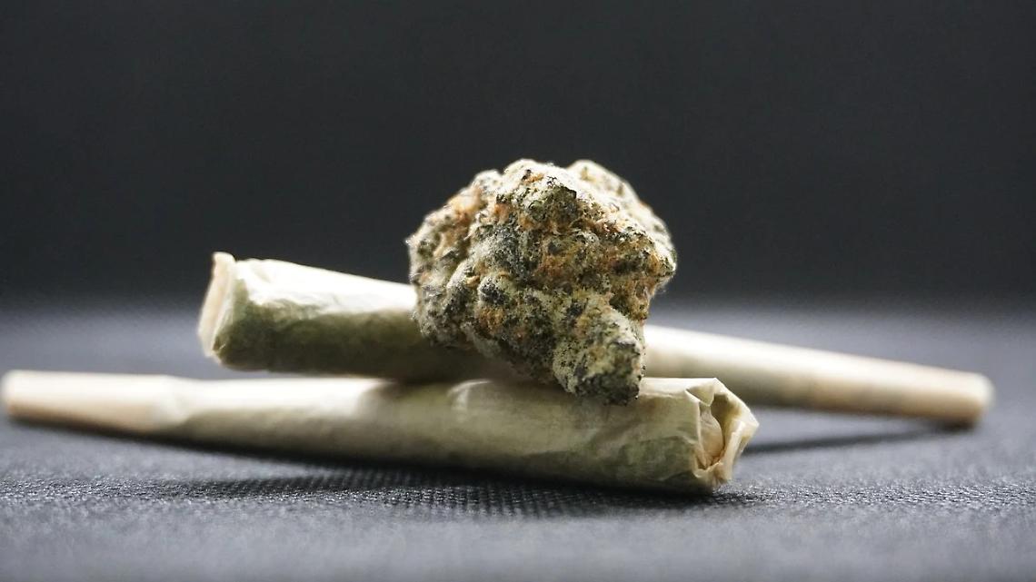 Operazione antidroga a Treviso: arrestato un 25enne per traffico di marijuana dalla Spagna