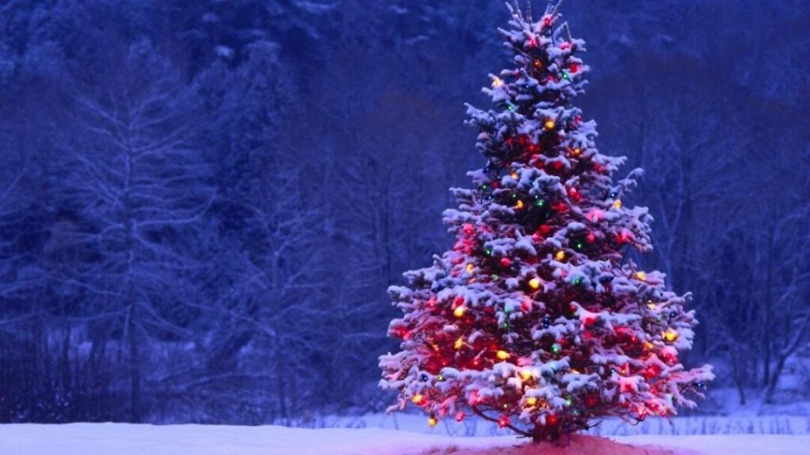 “Venezia. Un Natale da vivere”: concerti, luna park e magia del Natale in Piazza San Marco e Piazza Ferretto