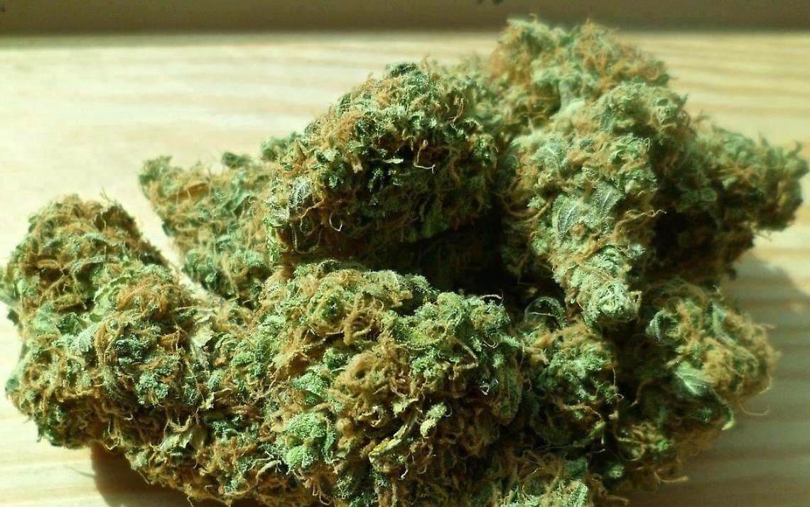 Spacciatore arrestato a Padova: droga nascosta negli slip e precedenti penali