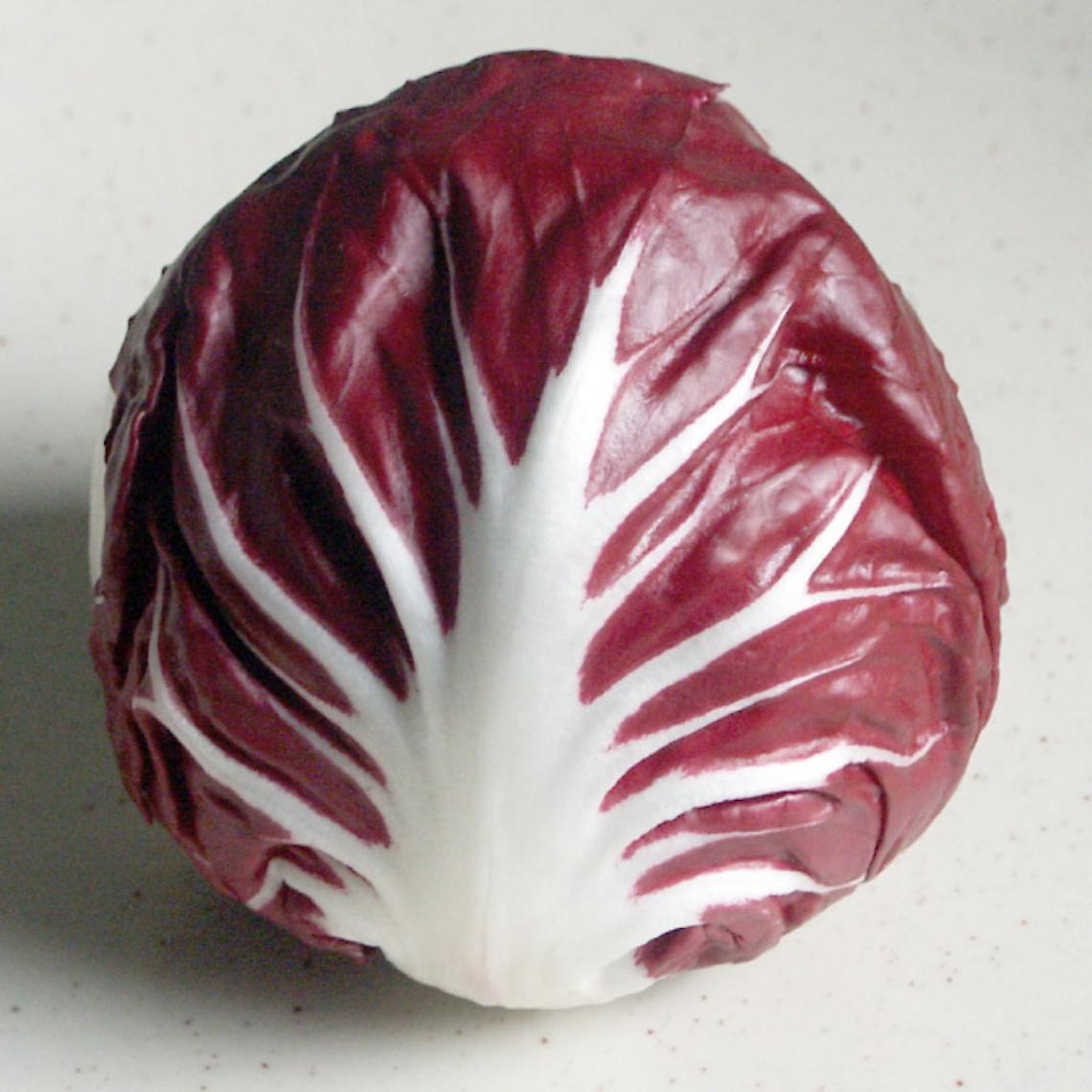 Radicchio di Chioggia