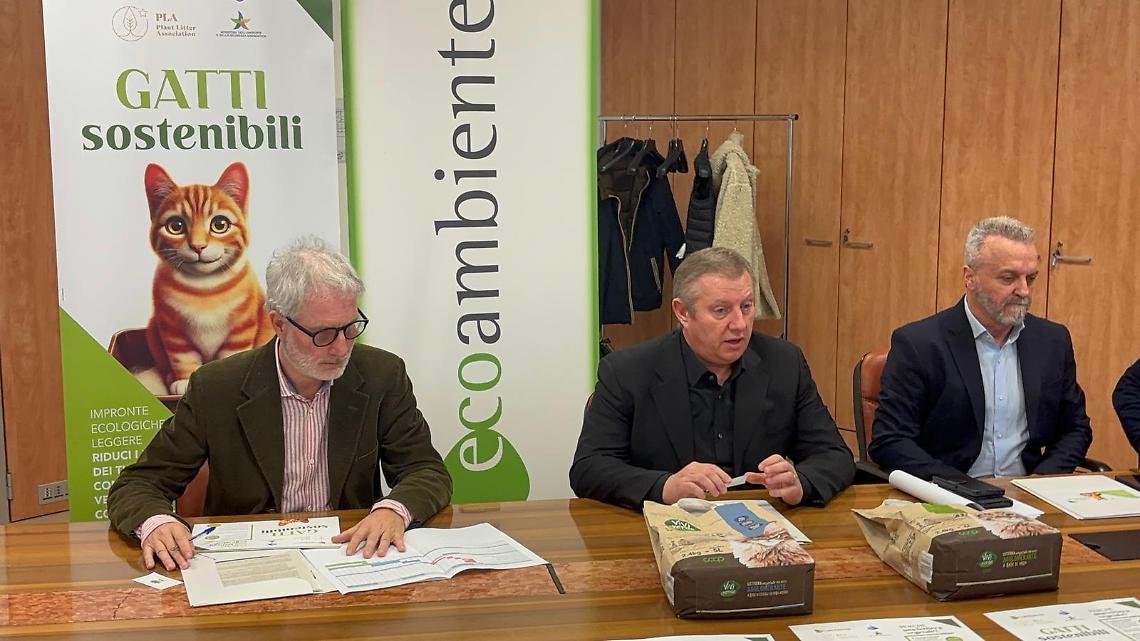Ecoambiente lancia il progetto “Gatti Sostenibili”: lettiere vegetali per un impatto ambientale ridotto