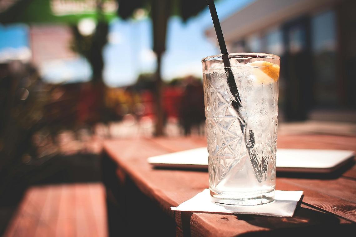 Treviso, Gin & Tonic: la degustazione che racconta la storia di ginepro e chinino