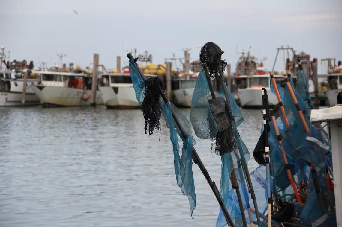 pesca