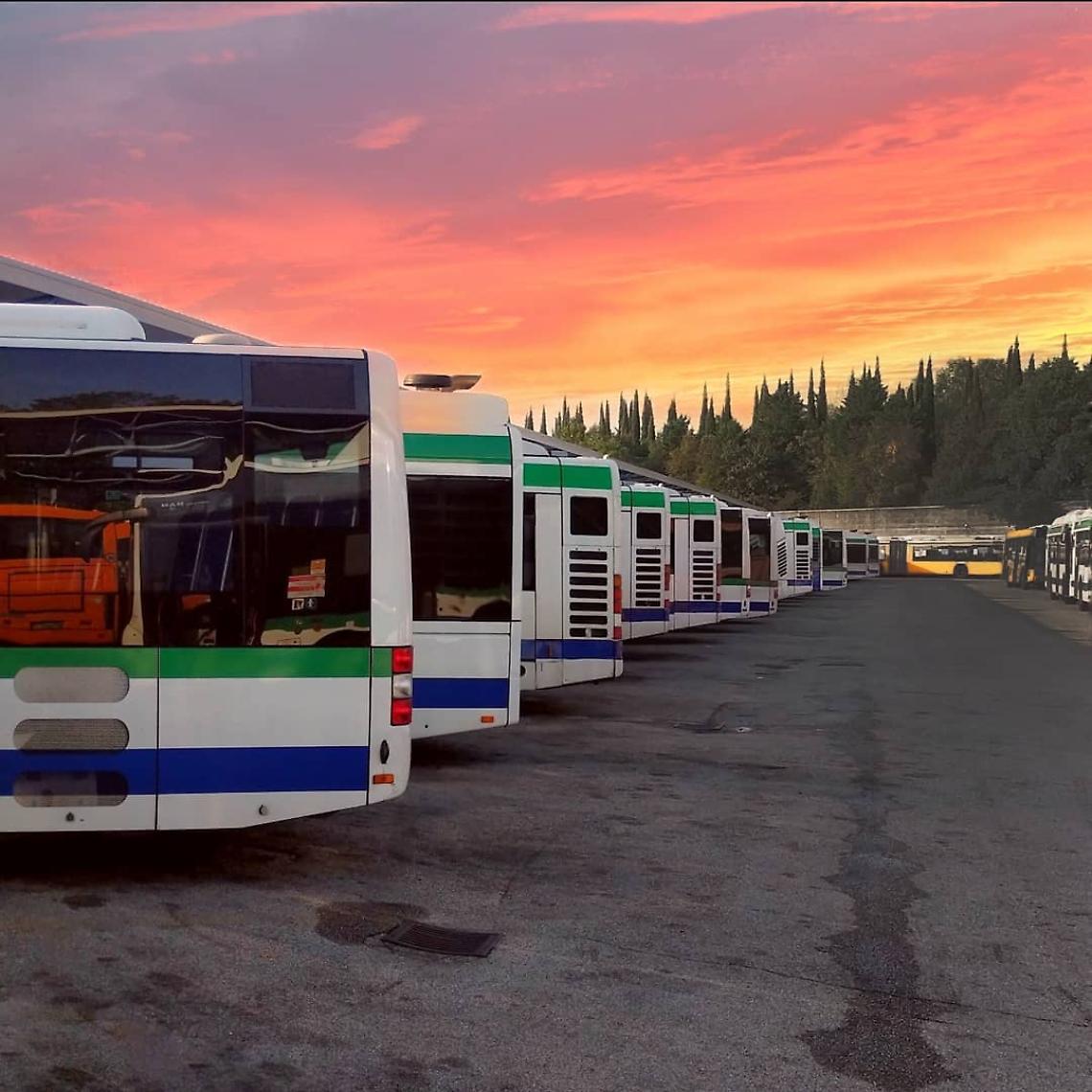 autobus actv