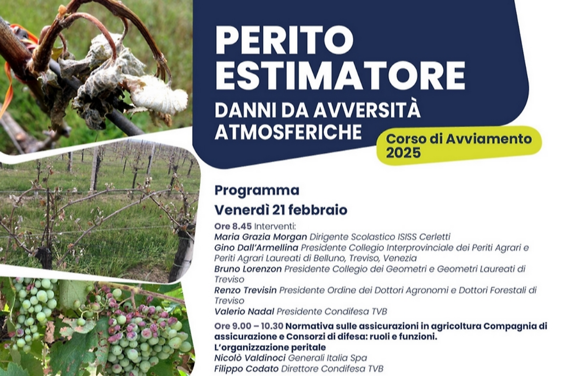Locandina dell'iniziativa