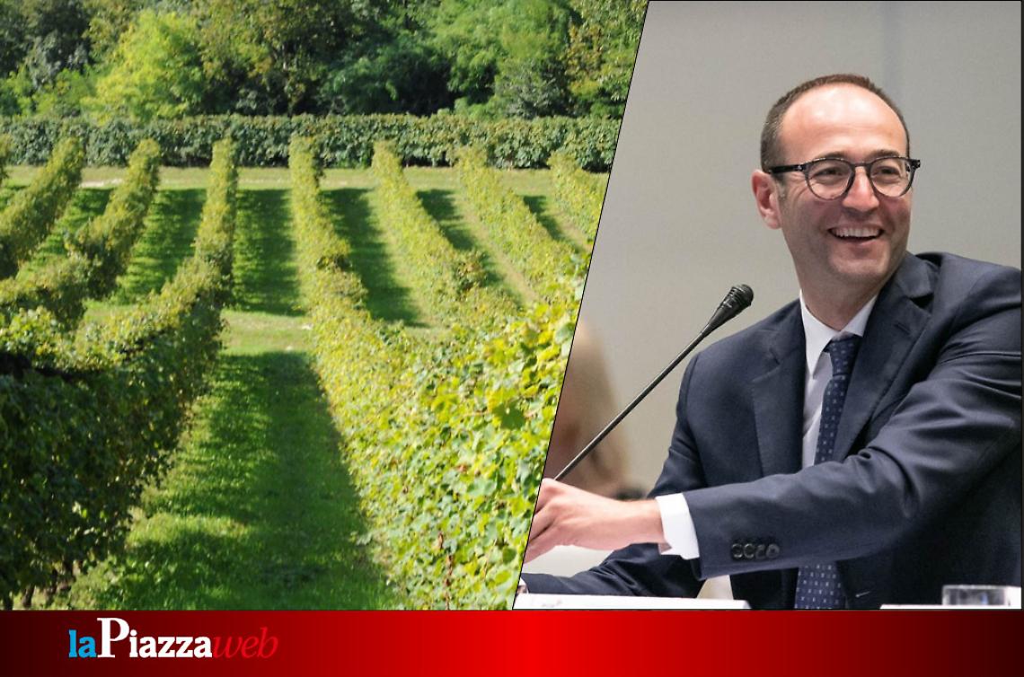 Federico Caner, Stati Generali Uva Veneta