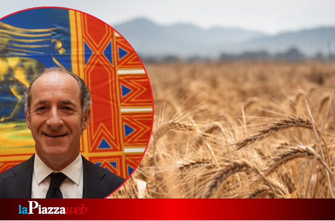 Il Veneto al primo posto per i pagamenti in agricoltura: Zaia esprime soddisfazione per l'efficienza del sistema
